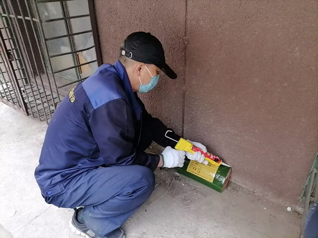 西城地安门家庭超市阛阓上门抓老鼠400-619-6022ca88北京除四害
